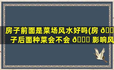 房子前面是菜场风水好吗(房 🐕 子后面种菜会不会 🐟 影响风水)